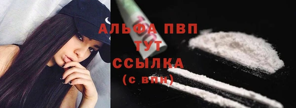 индика Баксан