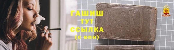 индика Баксан