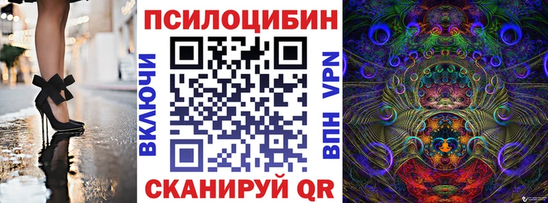 блэк спрут ссылка  Краснокаменск  Галлюциногенные грибы мицелий 